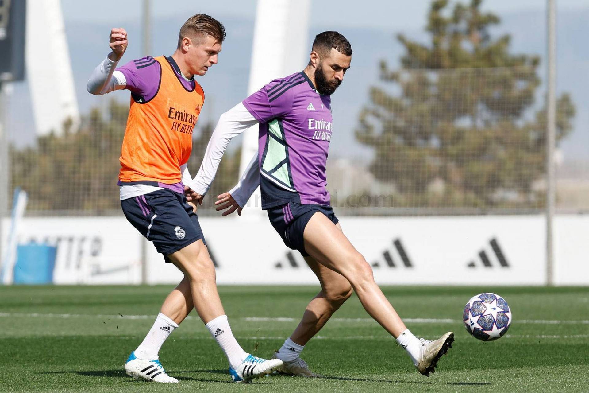 清晨浙江队备战欧冠；扳平良机细节曝光；更衣室稳定；心理建设被强调的简单介绍米兰体育app